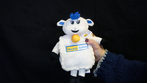 Plüschtier „Wolli“ – Maskottchen Hauser Kaibling